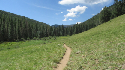 Meadow on Baldy Trail