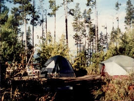 Jenny Lake campsite