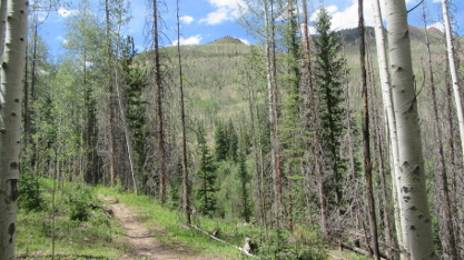 Embargo Creek Trail