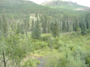 Embargo Creek Trail