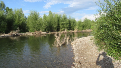 Gros Ventre River