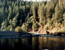 Oregon Campground river