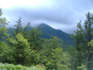 View Southwest from Sutton Ridge