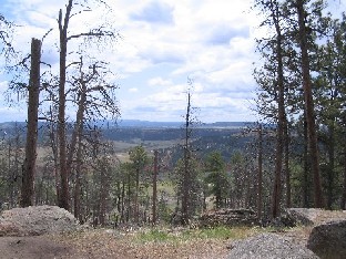 View from Tower Trail