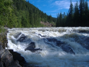 Rapids by Yaak Falls