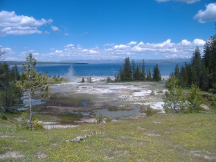Yellowstone Lake Thermal Area